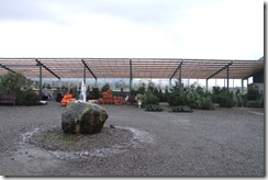 2012_1212DkIT1212120002