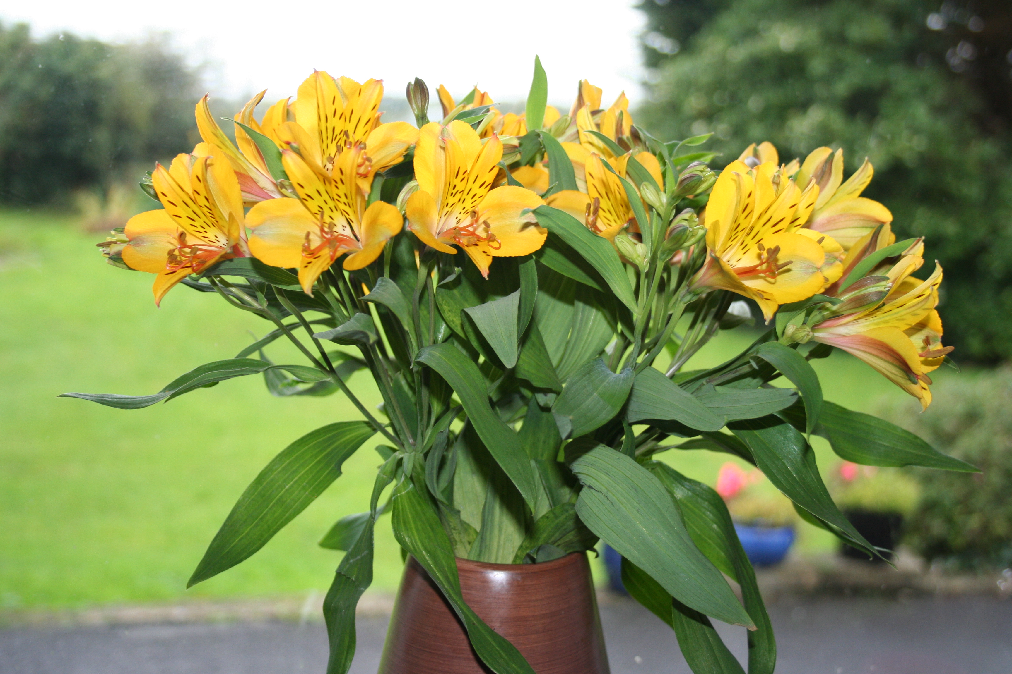 View from my kitchen window